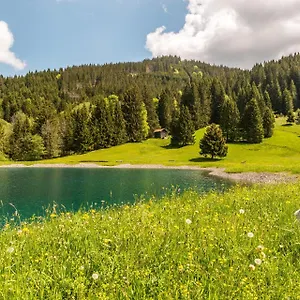 https://hotel-waldhorn-jungholz.com-bavaria.com